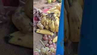 Fruit tahirapakistani bestvlogging dailyroutine pakistan tahirapakistani sitarayaseen vlog [upl. by Rodama]