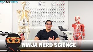 Welcome to Ninja Nerd Science [upl. by Kovacev447]