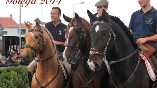 FEIRA DO CAVALO GOLEGA  GOLEGA LUSITANO FAIR PORTUGAL 2014 [upl. by Aubert]