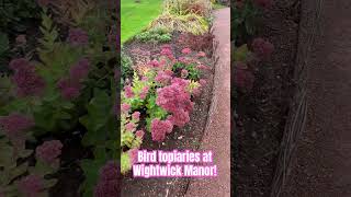 Look for the giant bird topiaries at the Wightwick Manor gardens Jo’sTXGarden [upl. by Esilanna]