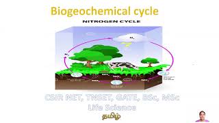 Biogeochemical cycle  Nitrogen Cycle Tamil CSIR NET TNSET GATE Life Science BSc MSc Biology [upl. by Ula]