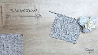 187 Tutoriel Tricot Point Épillets Knitting Tutorial Spikelet Stitch Maïlane [upl. by Riggall137]