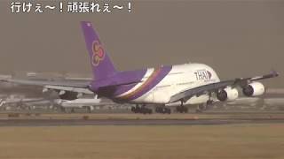 桜の季節・成田空港ゴーアラウンド怒濤の8連発！【着陸復行】 [upl. by Midis]