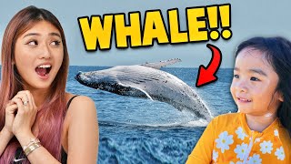 We Found a Whale in Gold Coast Australia [upl. by Lochner]