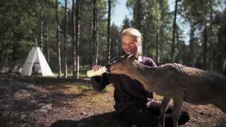 Summer at the Arctic Circle Rovaniemi Lapland [upl. by Ryhpez403]