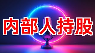 内部人持股高的成长型公司 内部人持股 成长型公司 盈利增长 投资 股票 2024年08月30日 [upl. by Lejna]