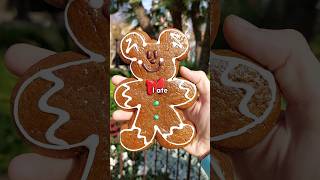 I tried these INCREDIBLE FLAVORS at Disneylands Festival of Holidays [upl. by Kerri457]