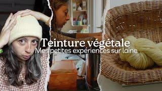 Teinture Végétale mes petites expériences sur laine [upl. by Anileme]