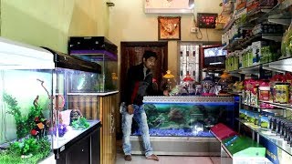 big size fully automatic aquarium in cheap rate  west bengla  birbhum  2 [upl. by Kiel]