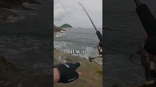 釣友釣到了大魷魚！我太羨慕了 釣魚 fishing 戶外 [upl. by Marelya206]