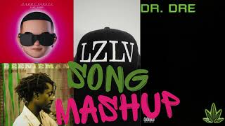 LZLV SONG MASHUP Daddy Yankee x Beenie Man x Dr Dre  Forgot About Dem Girls Sugar [upl. by Millhon739]