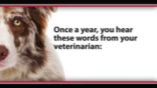 The Test Your Pet Should Take [upl. by Rennold]