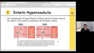 VMMC Campbell lecture series Urinary lithiasis [upl. by Ezirtaeb452]