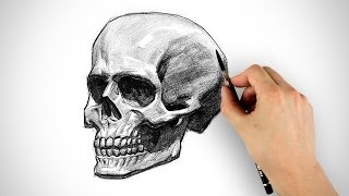 Draw a Skull  Halloween Special [upl. by Greff]