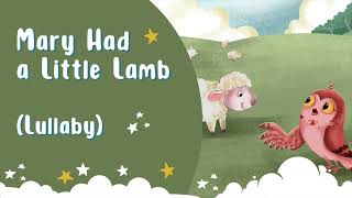 Mary Had A Little Lamb  Lullaby Version for Bedtime [upl. by Nennek]