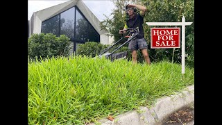 No one would buy this house with such an Overgrown Garden overgrown overgrownlawn timelapse [upl. by Nylecsoj811]