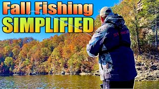 Fall Fishing Simplified with 4 Baits You Need Now [upl. by Elleinod932]