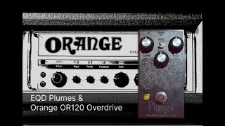 EarthQuaker Devices Plumes into an Orange OR120 Overdrive [upl. by Mosi212]