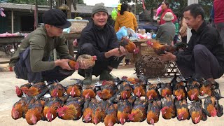 Zon happily goes to the market to sell chickens after the disease outbreak at the farm [upl. by Ezaria873]