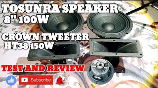 TOSUNRA 100W SPEAKER AND CROWN HT38 TWEETER REVIEW AND SOUND TEST [upl. by Aizirtap]