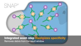 IDEXX SNAP Tests Technology in Action [upl. by Gerrard]