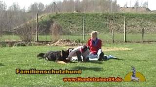 Familienschutzhund 1  Deutscher Schäferhund quotQuirl vom Hessensteinquot [upl. by Bennett]