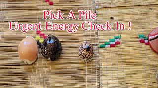 Pick A Pile Urgent Energy Check In From Spirit 🔮🐦‍⬛ [upl. by Hen]