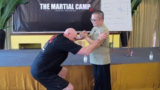 Huai Hsiang Wang  Prana Dynamics • The Martial Camp 2020 [upl. by Ahsened885]