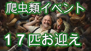 爬虫類イベントで17匹の爬虫類を購入した結果お会計が〇〇万円に！？ [upl. by Arolf]