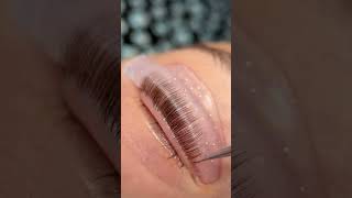 Get ready to flutter those fabulous lashes lashgoals lashliftandtint lashtransformation [upl. by Halima659]