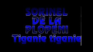 SORINEL DE LA PLOPENI TIGANIE TIGANIE [upl. by Rayna647]