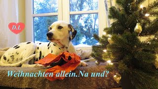 Weihnachten alleinNa und [upl. by Reiners789]