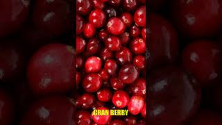 Different Types of berries  List of berries berries shorts [upl. by Onurb410]