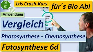 Vergleich Chemosynthese und Photosynthese nach relevanten Kriterien unter Nutzung der Basiskonzepte [upl. by Okin]