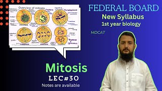 Mitosis  Stages of mitosis  significance of mitosis  class 11 [upl. by Trahurn]