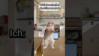 POV Du schreibst eine Klassenarbeit😐 PART 1 katzenvideos katze schule shorts lustig katzen [upl. by Trebo]