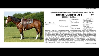 Pitzer Ranch Fall Sale 2024 Lot 60 DUKES QUIXOTES JOE [upl. by Arimlede]