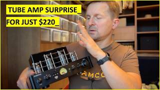 AntsAmp integrated tube amplifier  a 220 SURPRISE [upl. by Chane778]