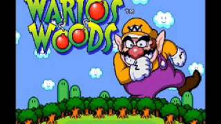 Warios Woods SNES Music  Sound Option [upl. by Schach65]