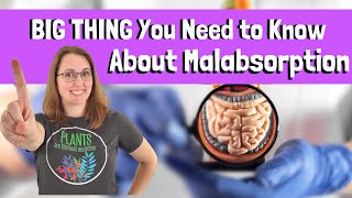 The BIG THING You Need to Know About Malabsorption [upl. by Aseeral317]