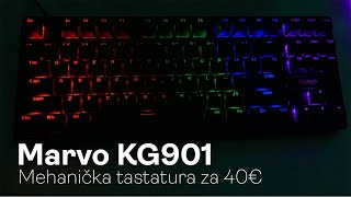 ODLIČNA MEHANIČKA TASTATURA ISPOD 40€  Marvo Scorpion KG901 [upl. by Genovera446]