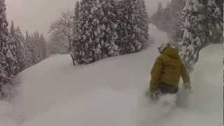 The Best Powder Nozawa Onsen [upl. by Anerhs54]