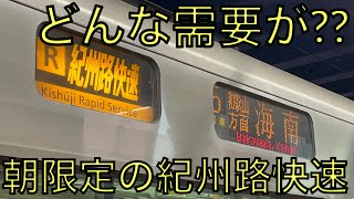 和歌山を越す‼︎ 朝限定の紀州路快速に乗車‼︎ [upl. by Solokin]