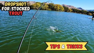 Trout Fishing Tips and Techniques  Hesperia Lake Trout Opener 2023 [upl. by Forland442]