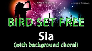 Sia Bird Set Free Instrumental Karaoke Version with background choral and lyrics [upl. by Lura]