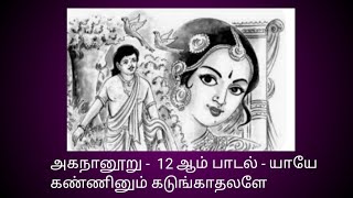 அகநானூறு  12 ஆம் பாடல்  யாயே கண்ணினும் கடுங்கா தலளேAgananooru 12 [upl. by Shuman]