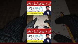 Mohabbat ka powerful wazaifa information mohabbatkawazifa lovekawazaifa tricks [upl. by Nemzaj440]