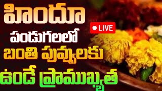 హిందూ పండుగలలో బంతి పువ్వులకు ఉండే ప్రాముఖ్యత  Importance of marigold flowers [upl. by Bose407]