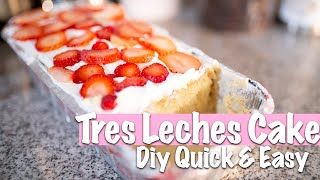 DIY QUICK AND EASY TRES LECHES CAKE RECIPE 2020 [upl. by Namdor]