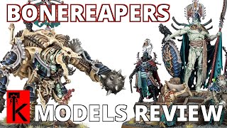 OSSIARCH BONEREAPERS  MODEL RANGE REVIEW  Warhammer Age of Sigmar [upl. by Opalina74]